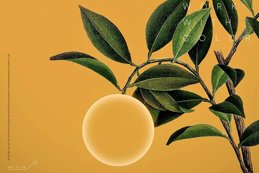 2025Intertextile秋冬| 2025中国传统色专题文化艺术展“橙黄橘绿时”即将启幕